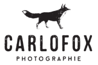 Logo Carlo Fox